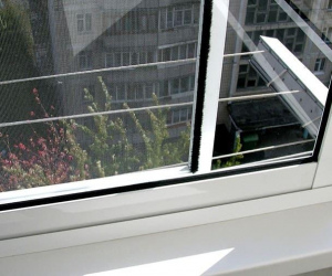 Антипыльца